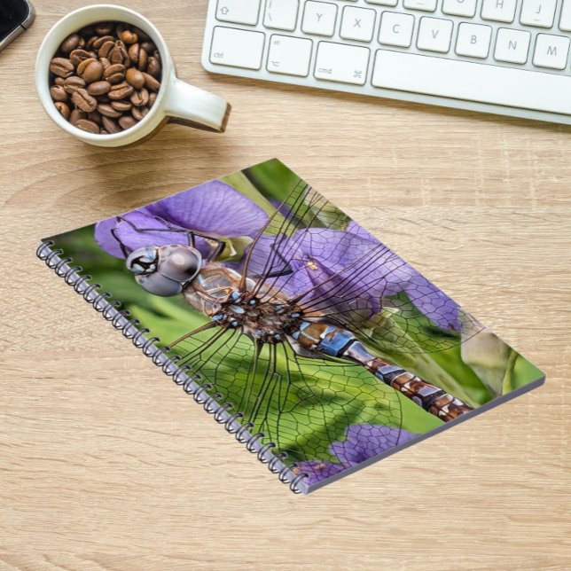 Carnet Libellule Darner aux Yeux Bleus sur Fleur (In Situ)
