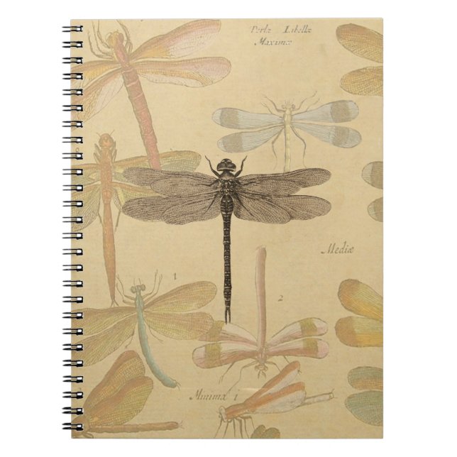 Carnet Libellule Vintage Antique Classique Nature (Devant)