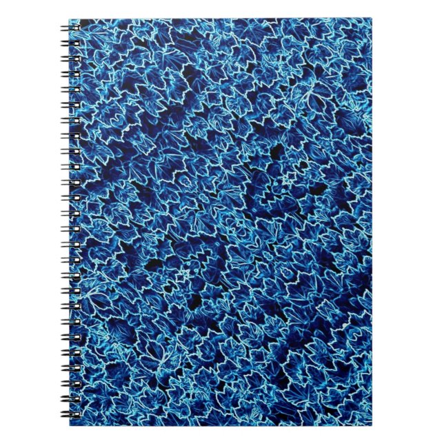 Carnet Lierre Bleu Glaçé Cool (Devant)