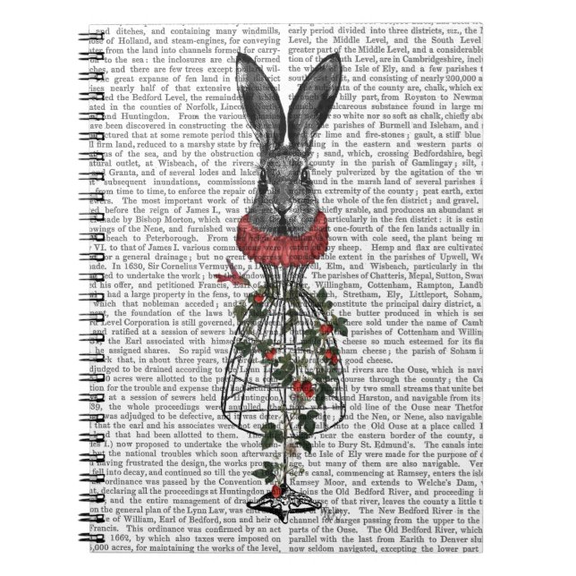 Carnet Lièvre de fraise (Devant)