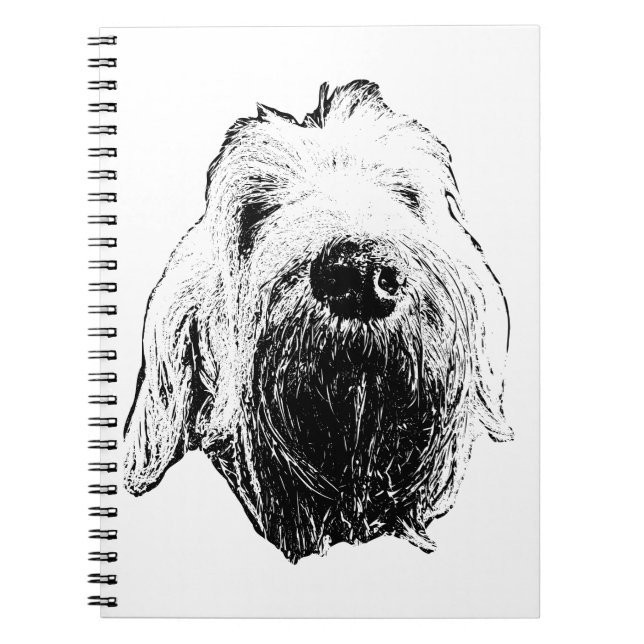 Carnet Lignes de fidélité : Spinone (Devant)