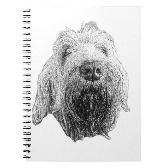Carnet Lignes de patience (Devant)