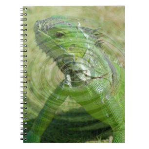 Carnet L'iguane vert