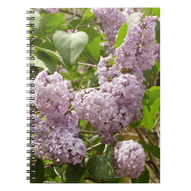 Carnet Lilac Bush Belles fleurs de printemps violettes (Devant)