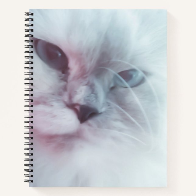 Carnet Lilly  (Devant)