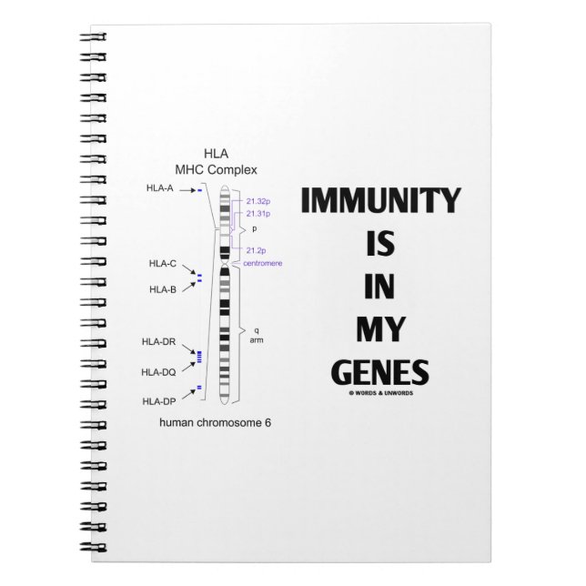Carnet L'Immunité Est Dans Mes Gènes (Immunologie Chromos (Devant)