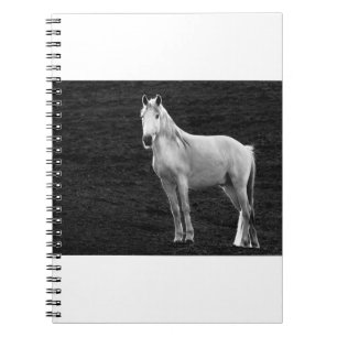 Carnet LIN10BW le Stance.tif