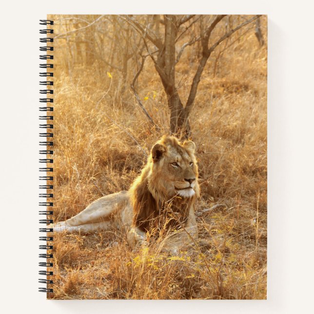 Carnet Lion (Devant)
