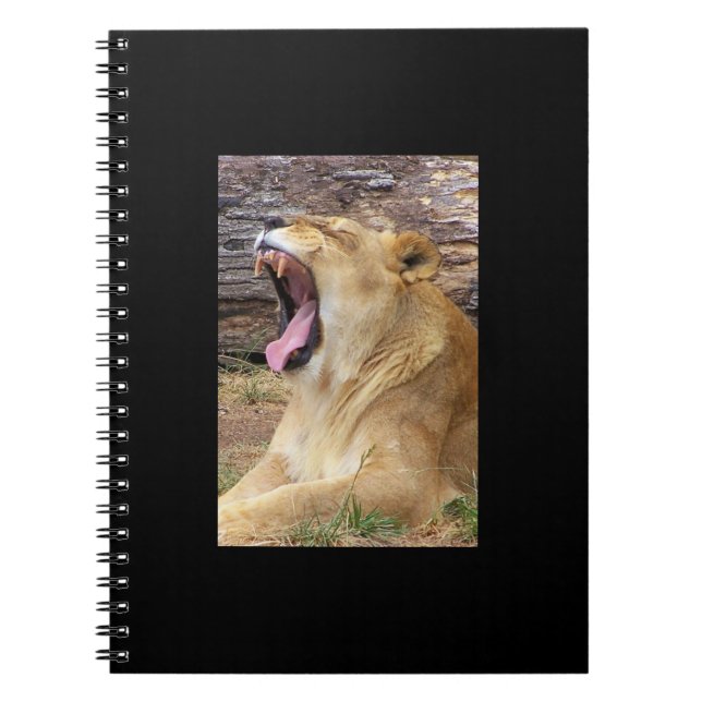 Carnet Lion (Devant)