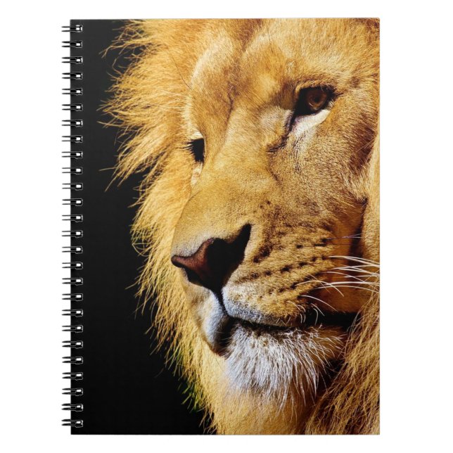 Carnet Lion (Devant)