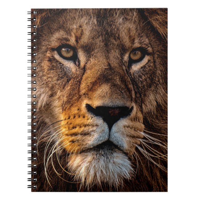Carnet Lion (Devant)