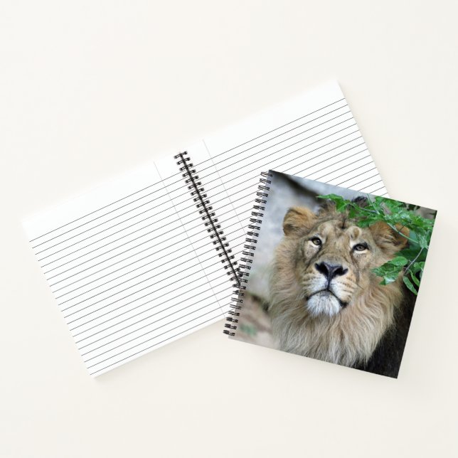 Carnet Lion 002 (Intérieur)