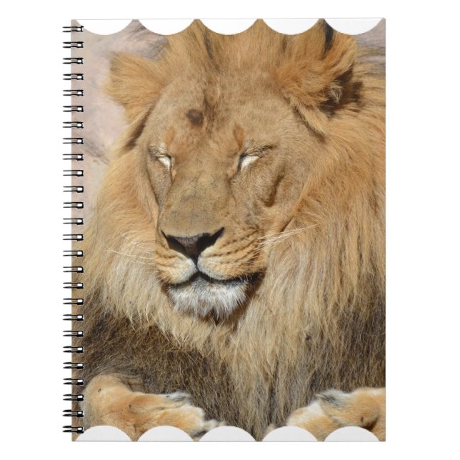 Carnet Lion adorable (Devant)