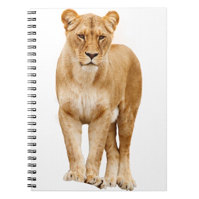 Carnet Lion Big Cat Predator Fièrement (Devant)