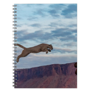 Carnet Lion de montagne Jumping Matin Skysaut, lion, anim