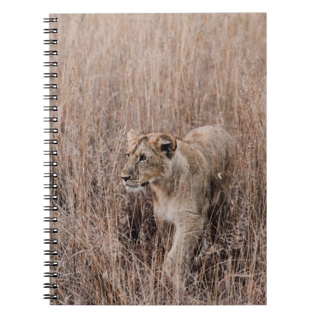 CARNET LION GRIS ET BROWN ENTOURÉ DE GRAS BROWN (Devant)