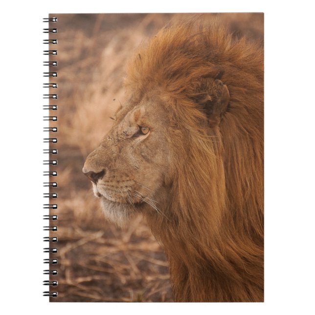 CARNET LION LONGUE DURÉE (Devant)