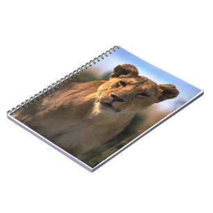 Carnet Lion Lovers Femme Lioness