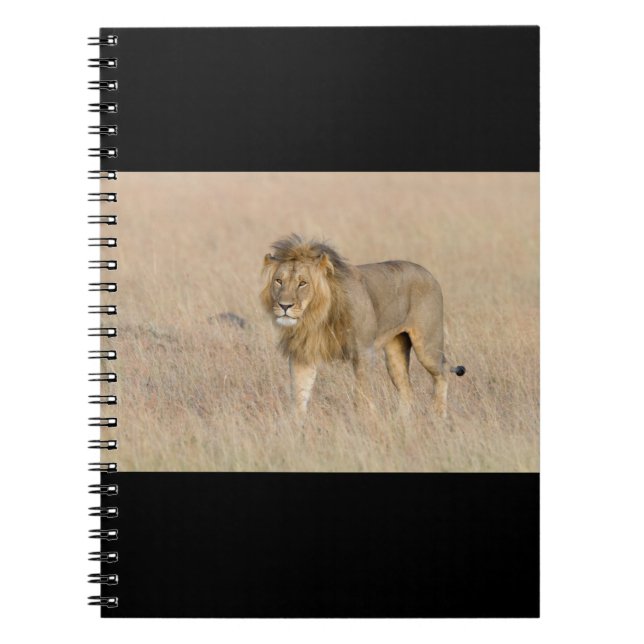 Carnet Lion marche (Devant)