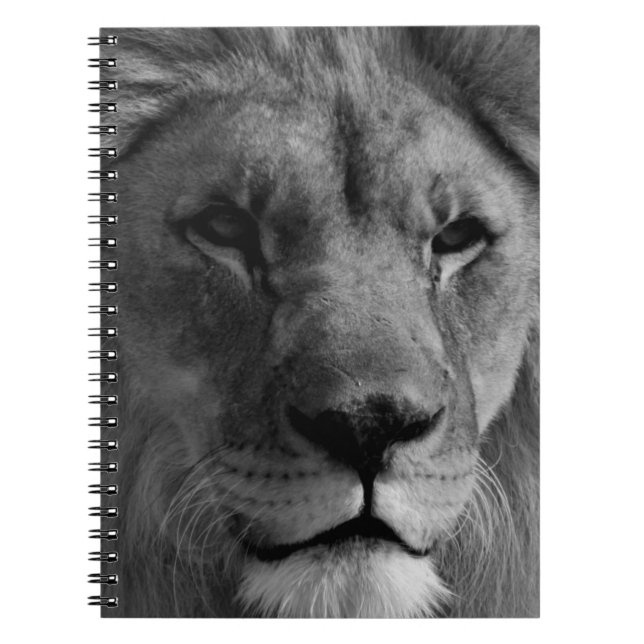 Carnet Lion noir et blanc (Devant)