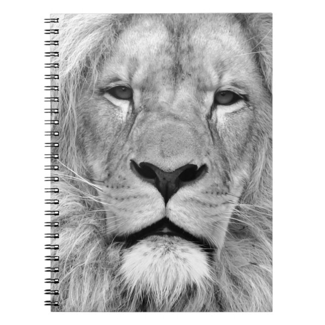 Carnet Lion noir et blanc (Devant)