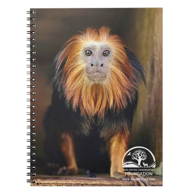 Carnet Lion Tamarin à tête dorée (Devant)