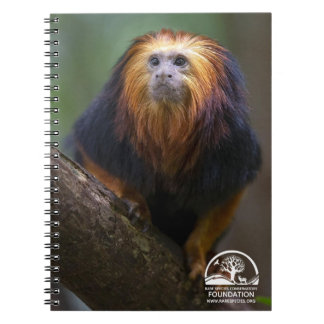Carnet Lion tamarin à tête dorée