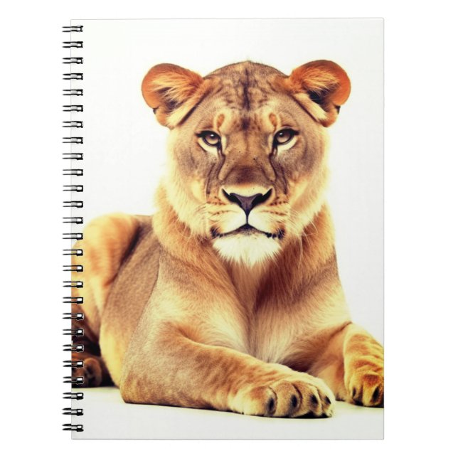Carnet Lioness Art (Devant)