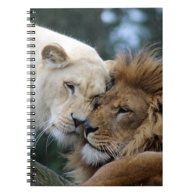 Carnet Lions (Devant)
