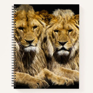 Carnet Lions prédateurs dangereux