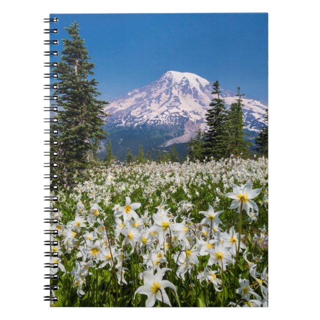 Carnet Lis de l'avalanche et Mont Rainier 2 (Devant)
