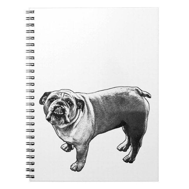 Carnet Lists Beside a Buddy (Devant)