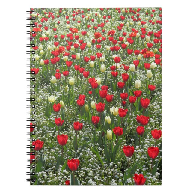 Carnet Lit de tulipes (Devant)