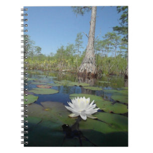 Carnet Lit d'eau 2