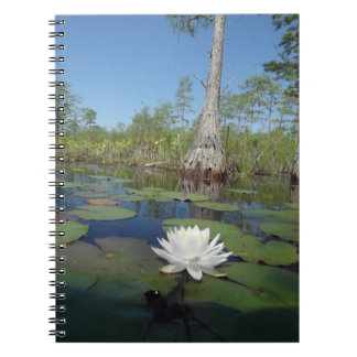 Carnet Lit d'eau 2