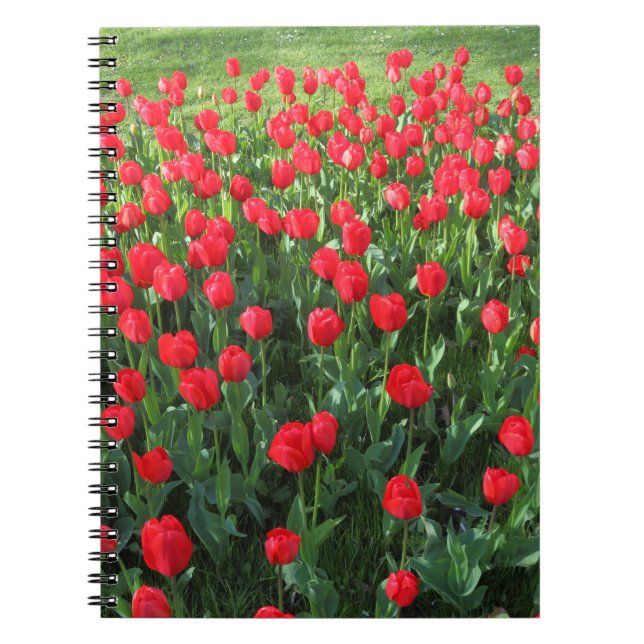Carnet Lit des Tulipes rouges 01 (Devant)