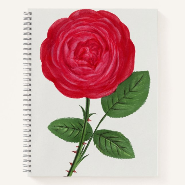 Carnet Lithographie de rose antique, François-Frédéric Gr (Devant)