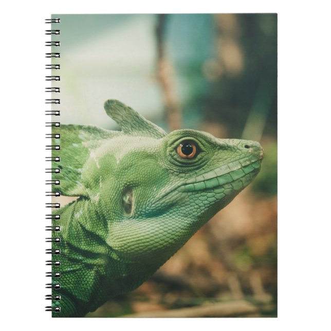 Carnet Lizard regarder de près vue (Devant)