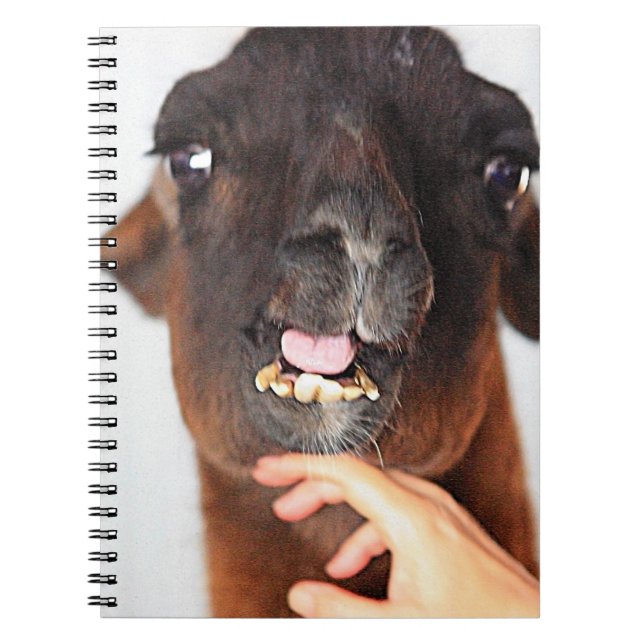 Carnet Llama (Devant)