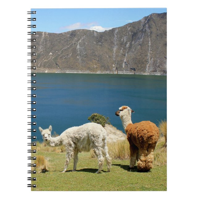 Carnet Llamas (Devant)
