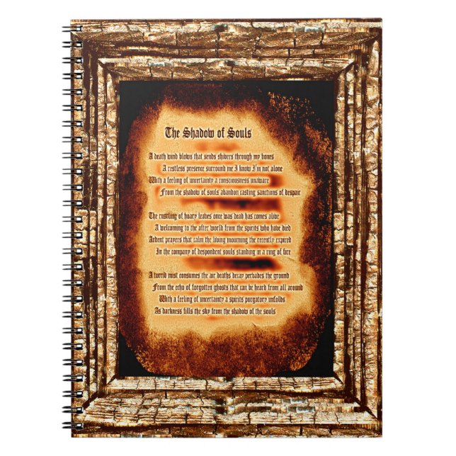 Carnet L'ombre des âmes (Devant)