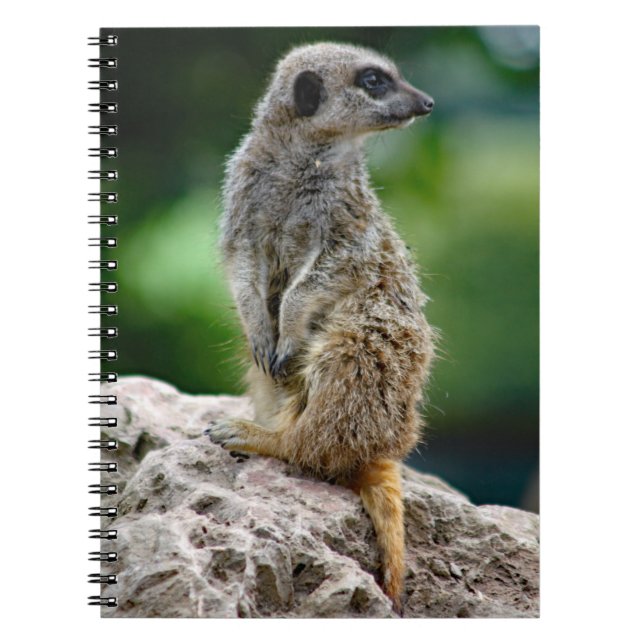 Carnet Lone Meerkat (Devant)