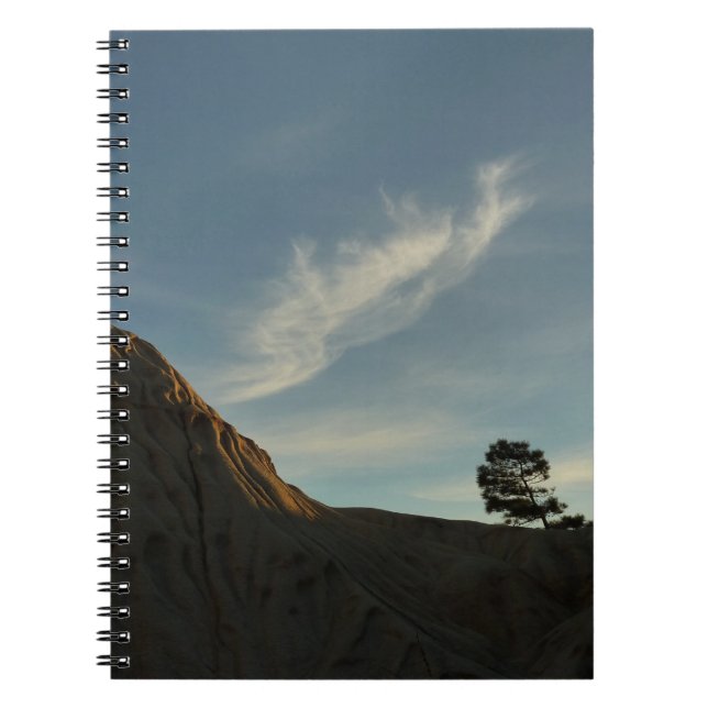 Carnet Lone Torrey Pine Californie Sunset Paysage (Devant)