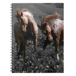 Carnet Longeron d'étalon
