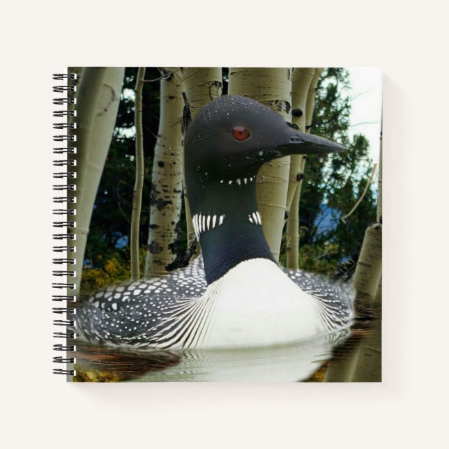 Carnet Loon sauvage (Devant)