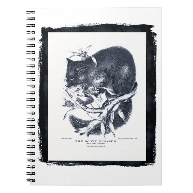 Carnet L'Opossum de Sooty (Devant)