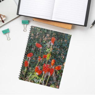 Carnet Lords et dames Arum italien Floral