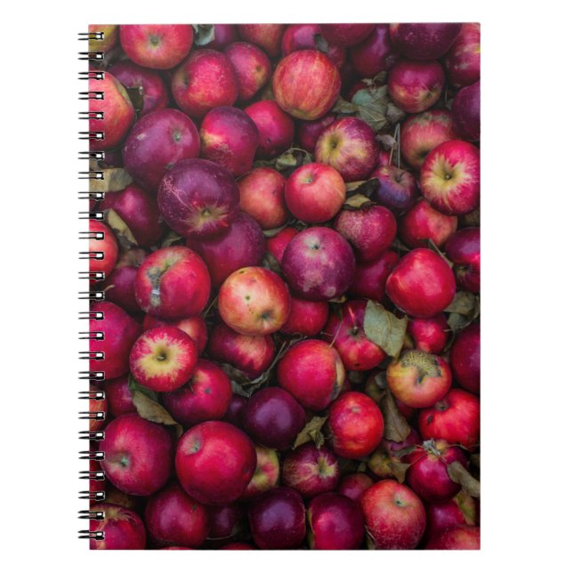 Carnet lot de pommes rouges (Devant)