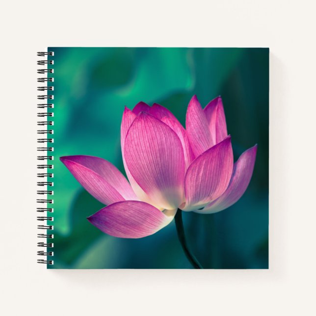 Carnet Lotus Water Lily Fleur (Devant)