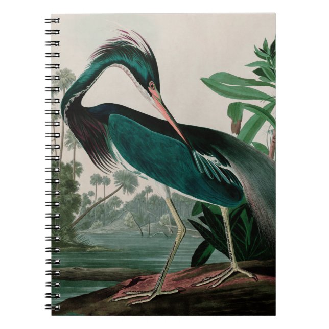 Carnet Louisiane Heron Birds of America Audubon Print (Devant)